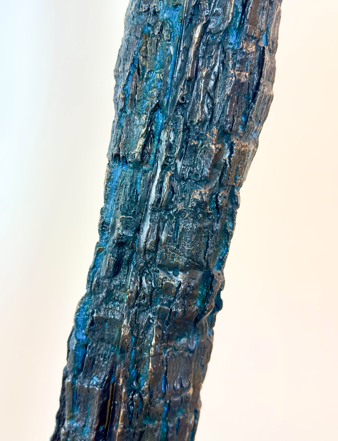 Close-up of Hermosa Strand's bronze bark, block-divided vertical ridges washed with blue-green patina.